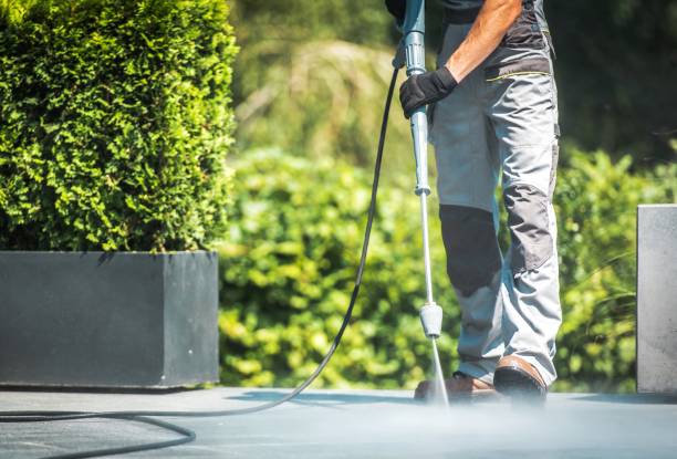 Animal Enclosure Cleaning in New Palestine, IN