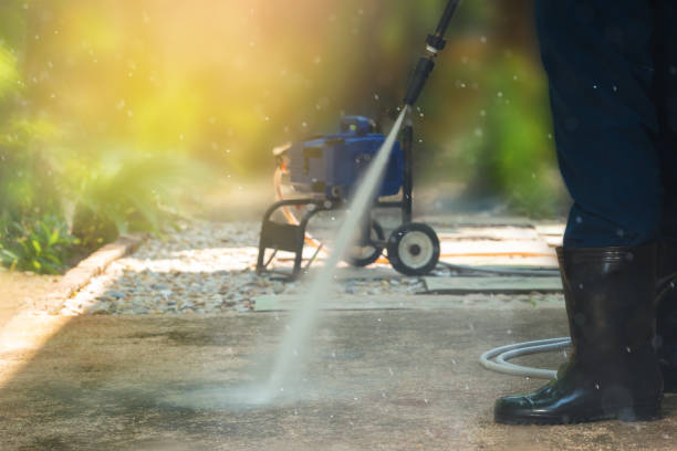Best Roof Washing  in New Paleste, IN